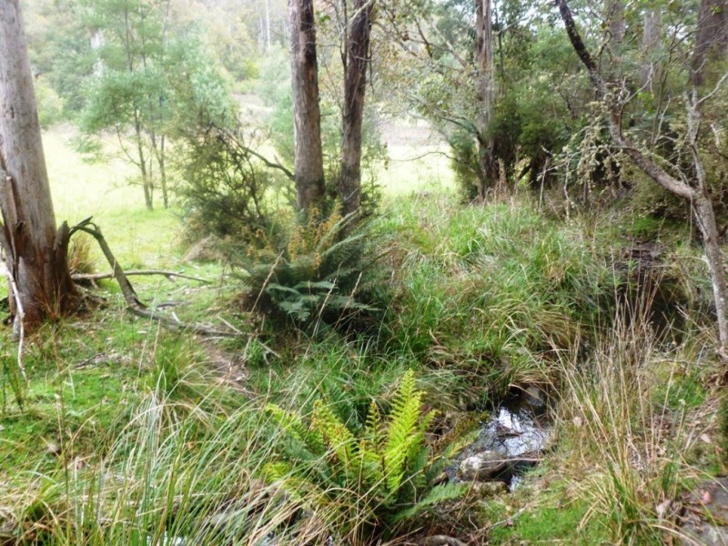 00 HUNGRY FLATS ROAD, Tunnack TAS 7120