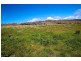 262 Elderslie Road, Brighton TAS 7030