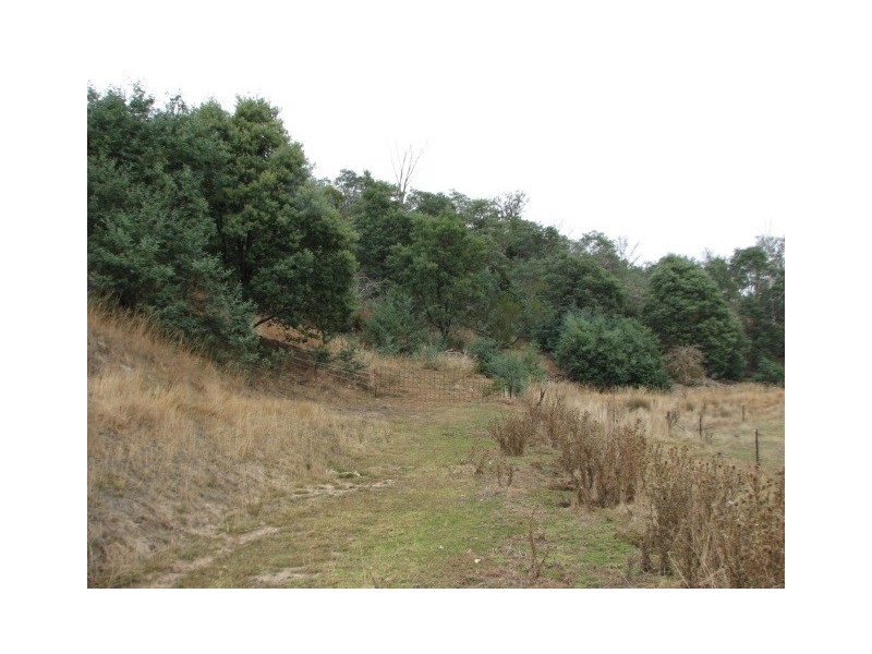 Lots 1 and 5 Link Rd, Colebrook TAS 7027