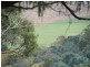 Lots 1 and 5 Link Rd, Colebrook TAS 7027