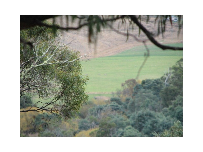 Lots 1 and 5 Link Rd, Colebrook TAS 7027
