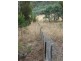 Lots 1 and 5 Link Rd, Colebrook TAS 7027