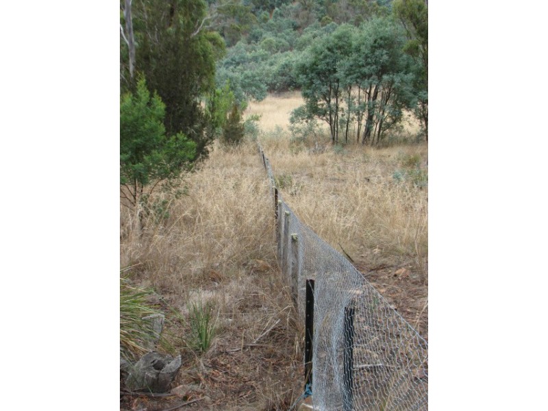 Lots 1 and 5 Link Rd, Colebrook TAS 7027