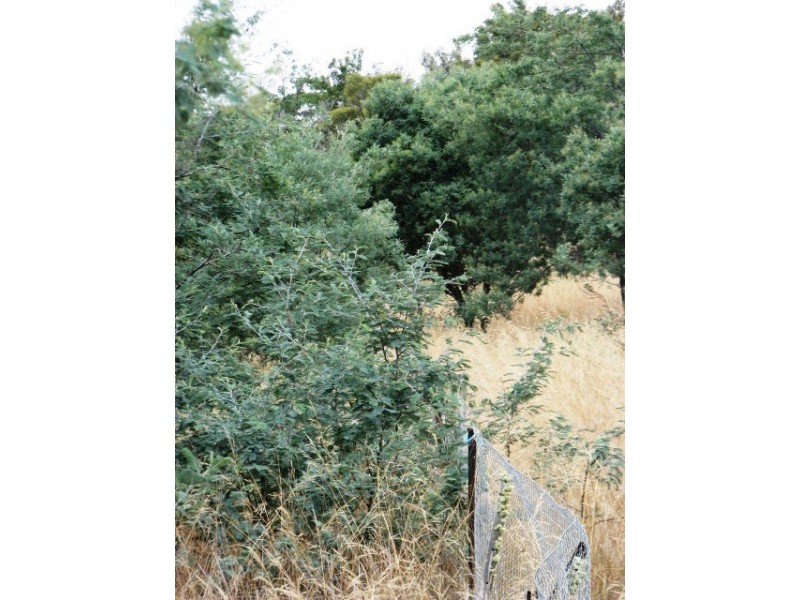 Lots 1 and 5 Link Rd, Colebrook TAS 7027