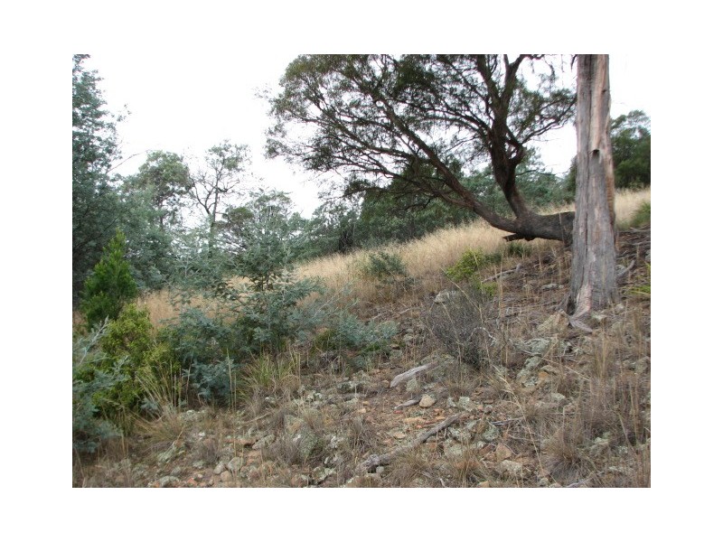 Lots 1 and 5 Link Rd, Colebrook TAS 7027