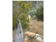 Lots 1 and 5 Link Rd, Colebrook TAS 7027
