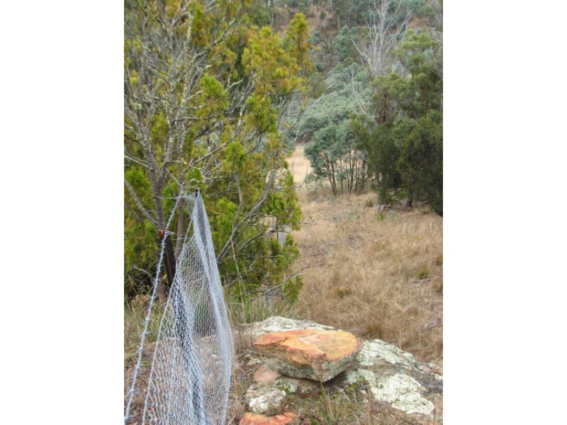 Lots 1 and 5 Link Rd, Colebrook TAS 7027