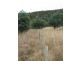 Lots 1 and 5 Link Rd, Colebrook TAS 7027