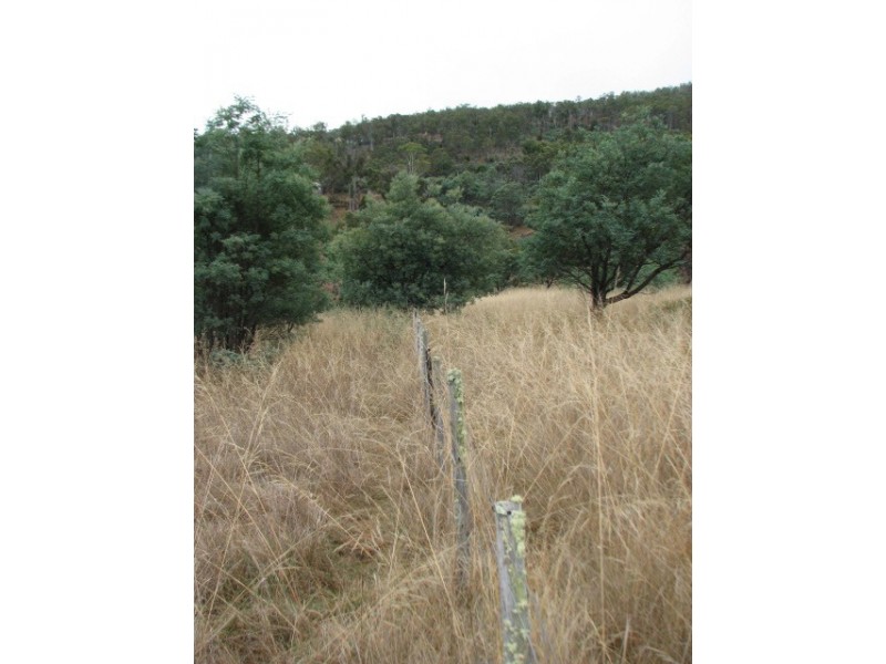 Lots 1 and 5 Link Rd, Colebrook TAS 7027