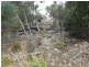 Lots 1 and 5 Link Rd, Colebrook TAS 7027