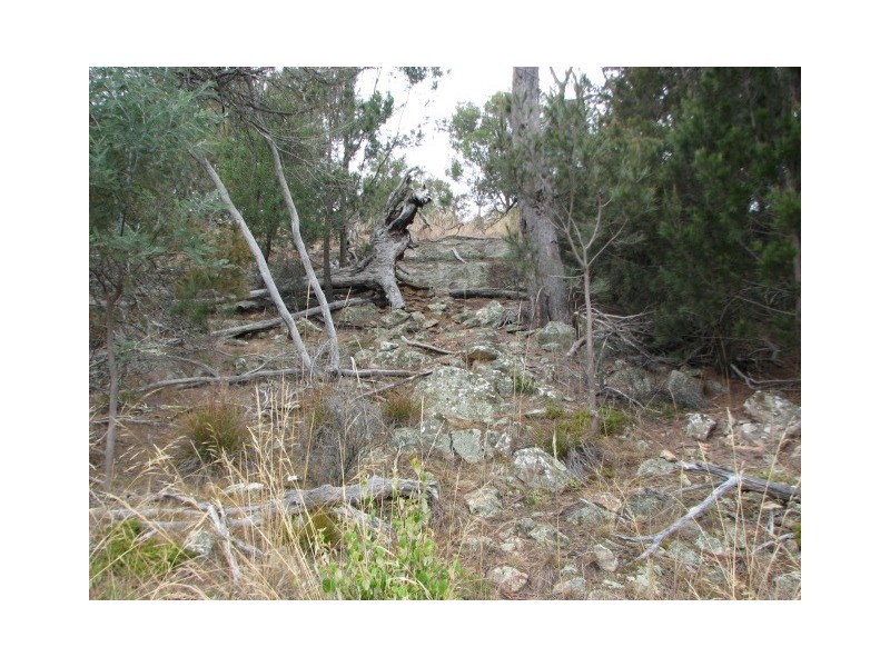 Lots 1 and 5 Link Rd, Colebrook TAS 7027