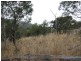 Lots 1 and 5 Link Rd, Colebrook TAS 7027
