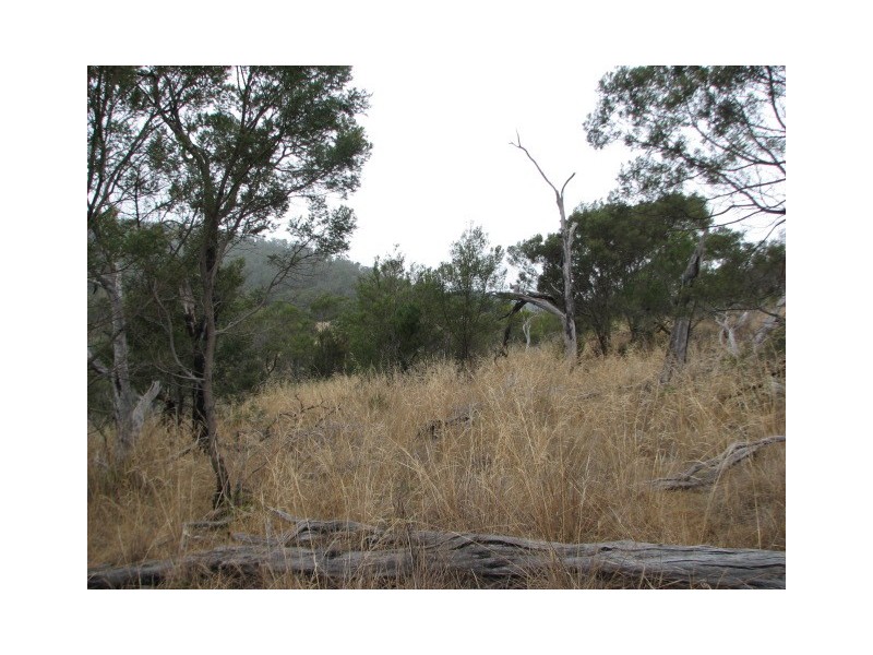 Lots 1 and 5 Link Rd, Colebrook TAS 7027