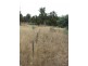 Lots 1 and 5 Link Rd, Colebrook TAS 7027
