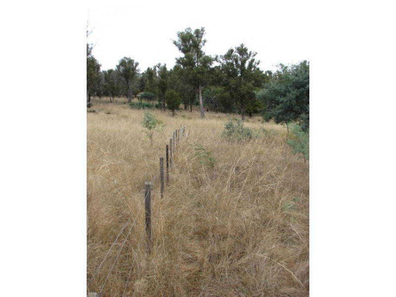 Lots 1 and 5 Link Rd, Colebrook TAS 7027