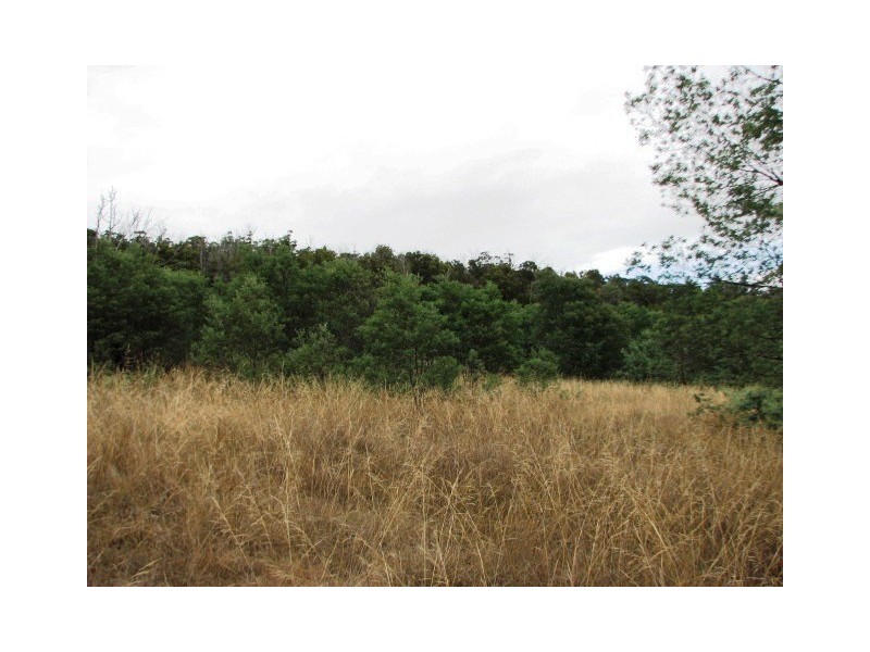 Lots 1 and 5 Link Rd, Colebrook TAS 7027