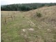 Lots 1 and 5 Link Rd, Colebrook TAS 7027