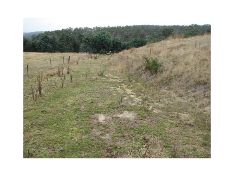 Lots 1 and 5 Link Rd, Colebrook TAS 7027