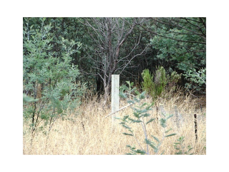 Lots 1 and 5 Link Rd, Colebrook TAS 7027