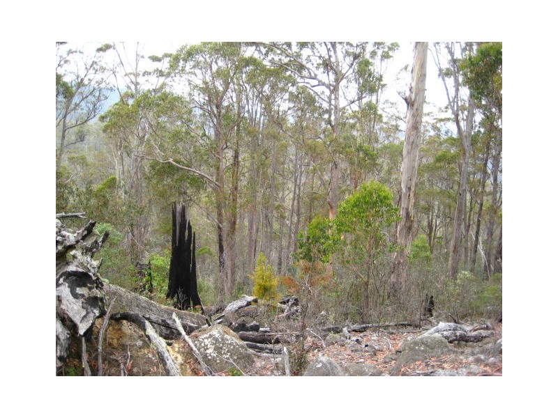 0 Eldon Rd, Tunnack TAS 7120