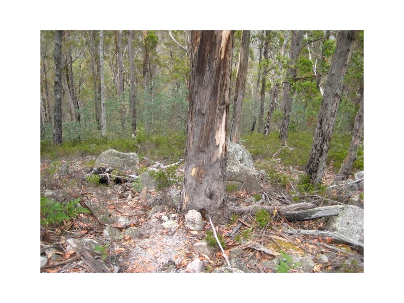 0 Eldon Rd, Tunnack TAS 7120