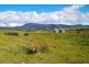 262 Elderslie Road, Brighton TAS 7030