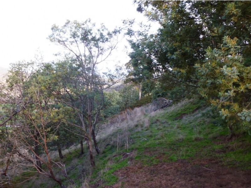 870 Clifton Vale Road, Dysart TAS 7030