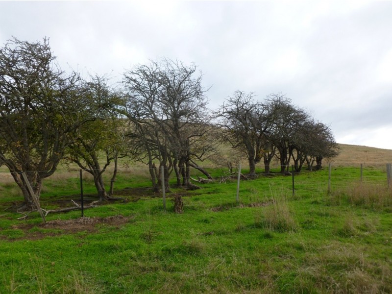 1035 Clifton Vale Road, Dysart TAS 7030