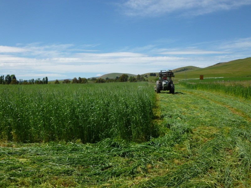 6820 Lyell Highway, Ouse TAS 7140