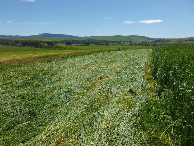 6820 Lyell Highway, Ouse TAS 7140