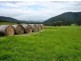 73 Sculthorpes Road, Nicholls Rivulet TAS 7112