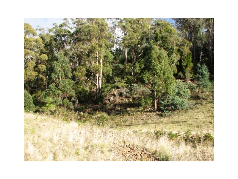 215 Grices Rd, Tea Tree TAS 7017