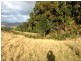 215 Grices Rd, Tea Tree TAS 7017