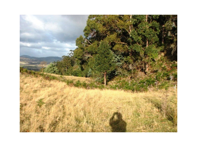 215 Grices Rd, Tea Tree TAS 7017