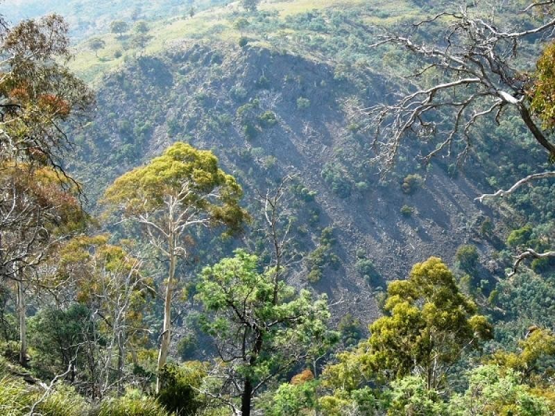 172 MCGUIRES ROAD, Osterley TAS 7140