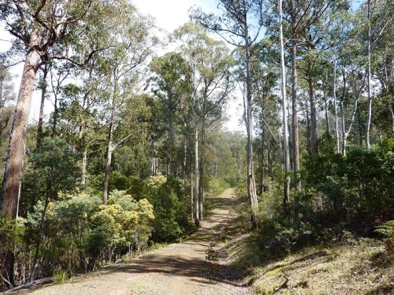 172 MCGUIRES ROAD, Osterley TAS 7140