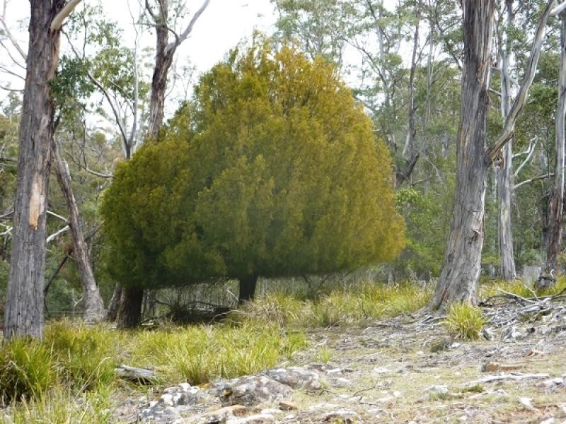 172 MCGUIRES ROAD, Osterley TAS 7140