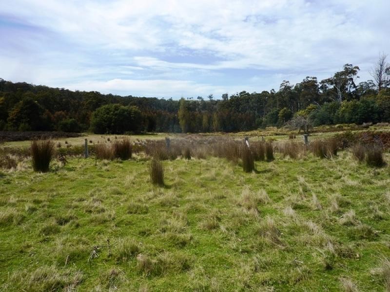 172 MCGUIRES ROAD, Osterley TAS 7140