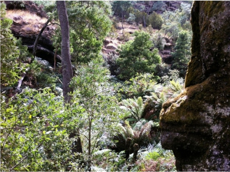 415 Cockatoo Gully Road, Elderslie TAS 7030