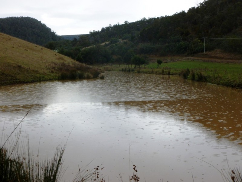 415 Cockatoo Gully Road, Elderslie TAS 7030