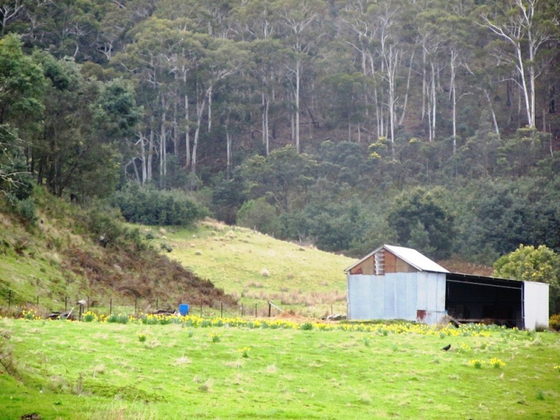 415 Cockatoo Gully Road, Elderslie TAS 7030