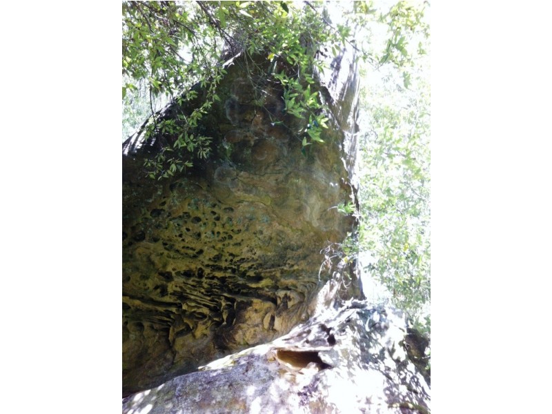 415 Cockatoo Gully Road, Elderslie TAS 7030