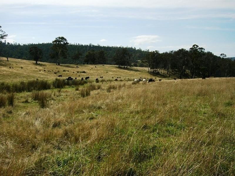 00 Horners Road, Elderslie TAS 7030