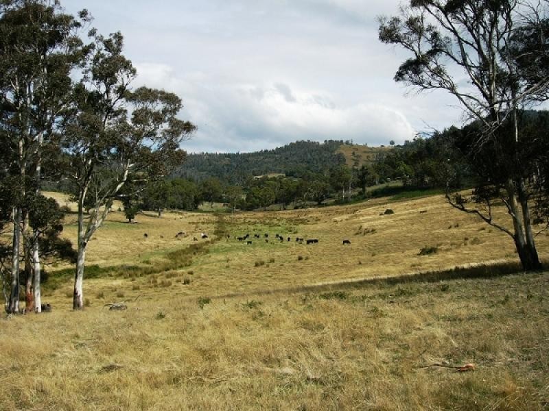 00 Horners Road, Elderslie TAS 7030