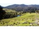 1185 Native Corners Road, Campania TAS 7026