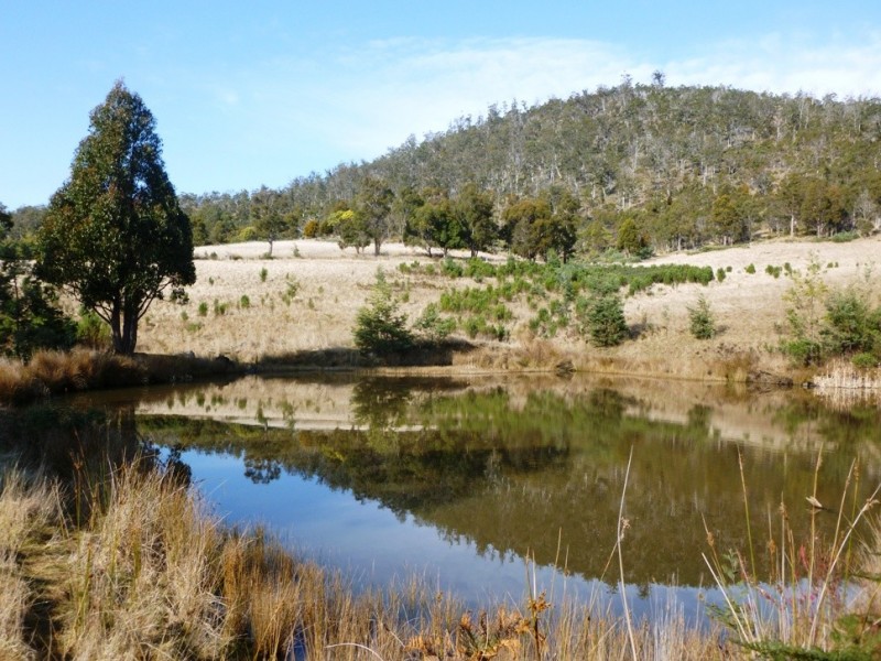 1185 Native Corners Road, Campania TAS 7026