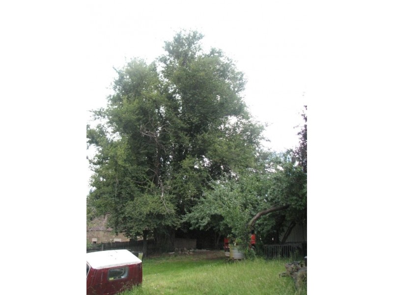 10 Patrick Street, Bothwell TAS 7030