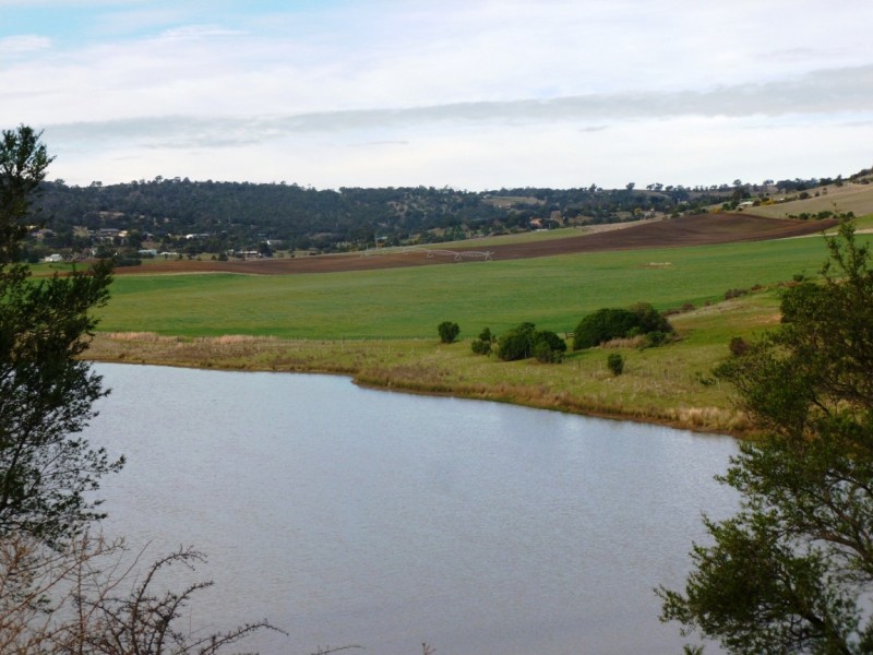 250 COVE HILL ROAD, Honeywood TAS 7017