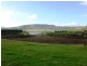 250 COVE HILL ROAD, Honeywood TAS 7017