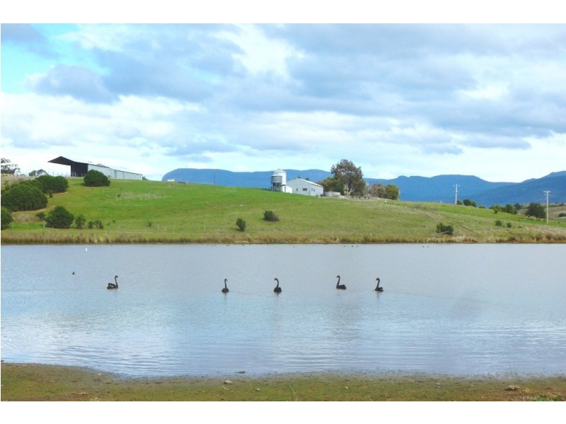 250 COVE HILL ROAD, Honeywood TAS 7017